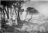 fig．9　ルネ・メナール 『夜の調べ』、1889年 パステル･キャンヴァスにカルトン貼 97.0×142.0ｃｍ