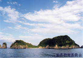 大島の写真