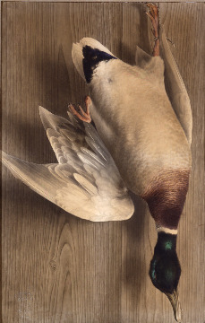 Iwahashi Noriaki, Still Life with a Duck