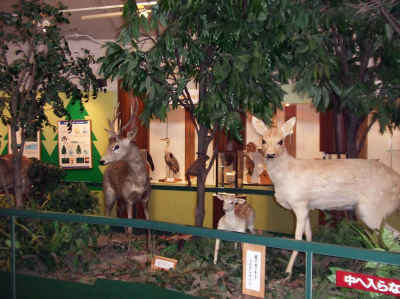 三重県内の博物館 資料館 三重県民の森