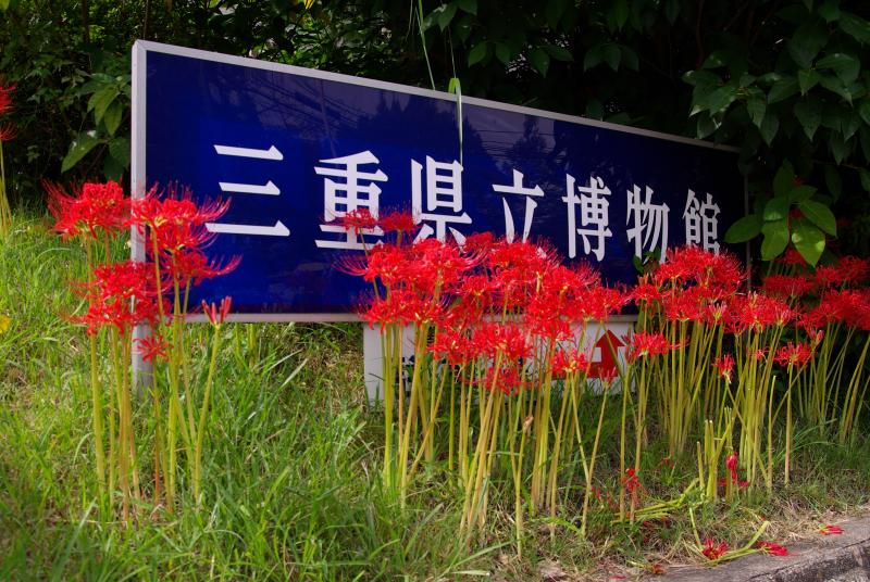 三重県立博物館の看板とともに(平成21年撮影)