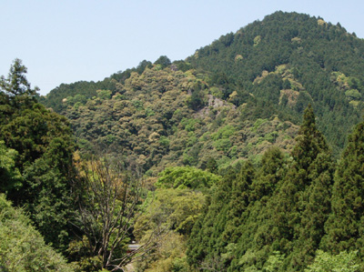 現在の「筆捨山」