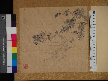 増山雪斎 四季花鳥図画帖　上巻10