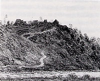 fig.1　《沈む太陽のラ・ロシュブロンドの村》　1889年