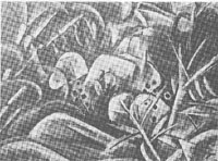 萬鐵五郎「木の間の風景」1918年