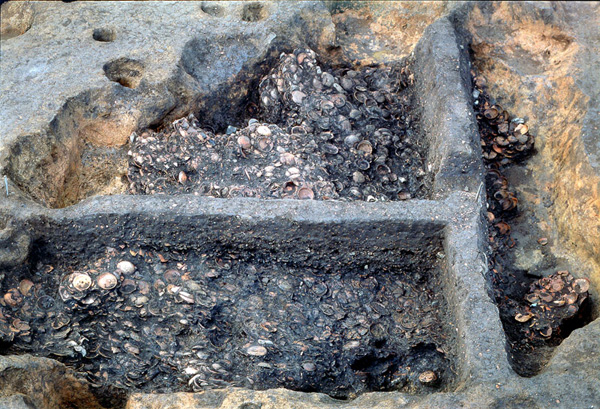 土器一括廃棄の土坑（SK2650）
