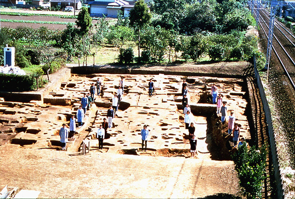 内院区画最大級の掘立柱建物