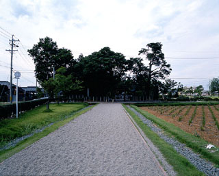 方格地割道路の写真