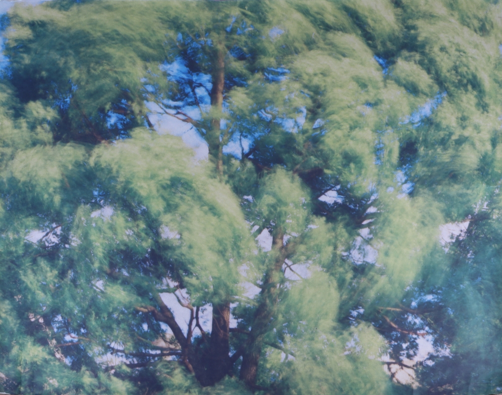 秋岡美帆《風の色（春）》　1984年　三重県立美術館蔵