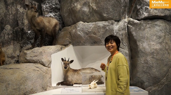 田村学芸員「カモシカの話」