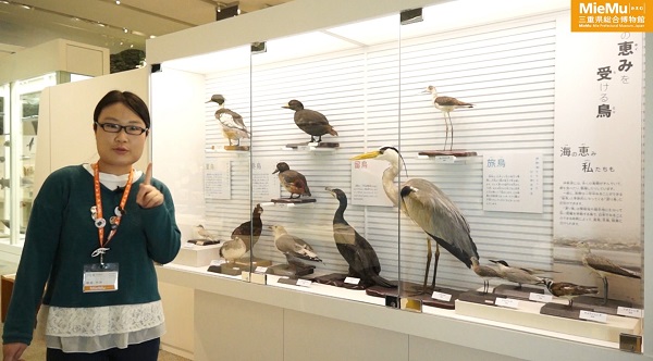 稲垣学芸員「海の恵みを受ける鳥」