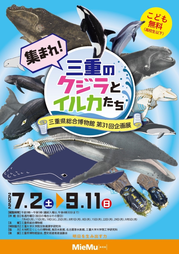 集まれ！三重のクジラとイルカたちチラシ（おもて）