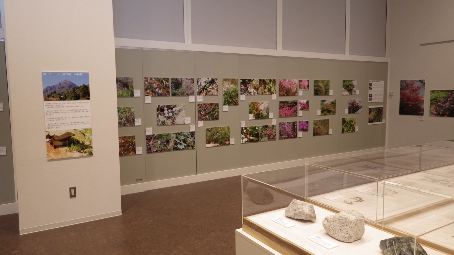 交流展 写真展・三重を彩る花々~藤原・御在所・朝熊の花~会場風景