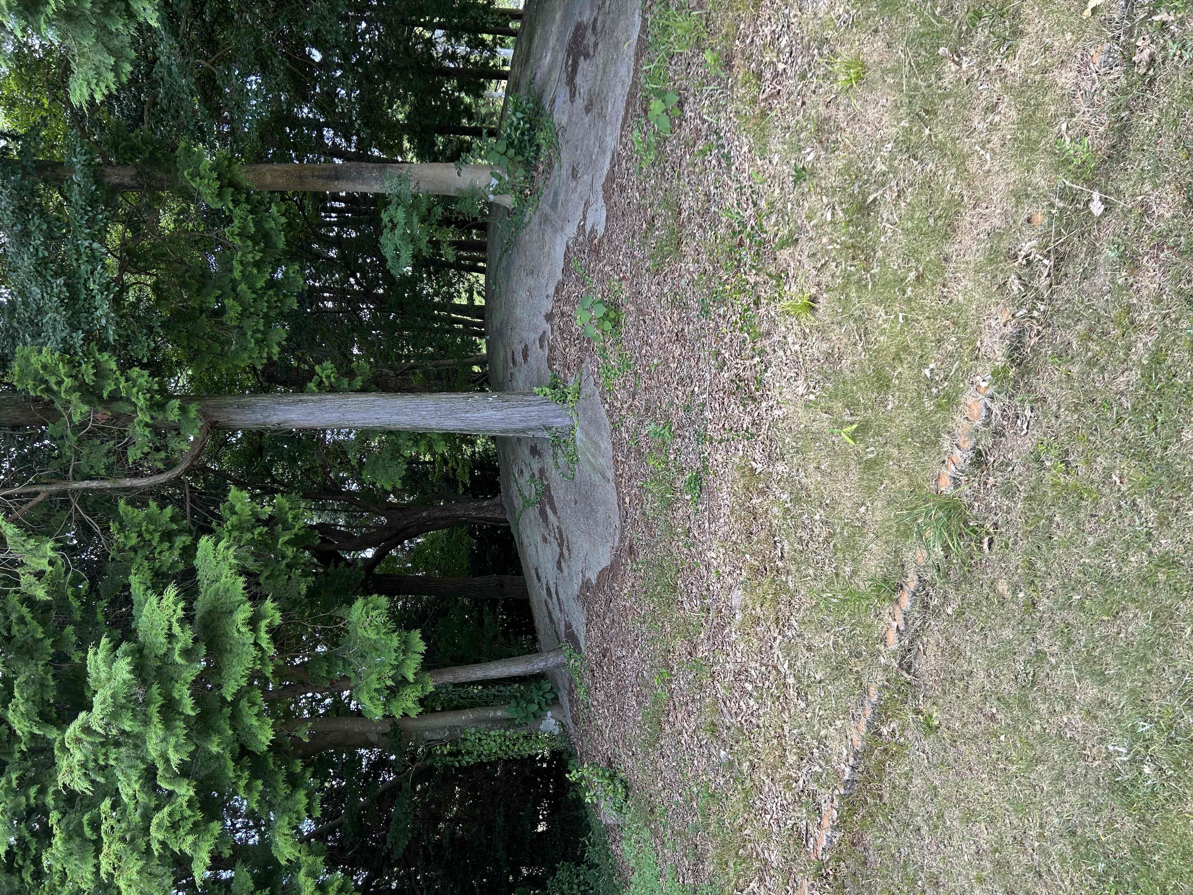 塚山古墳群