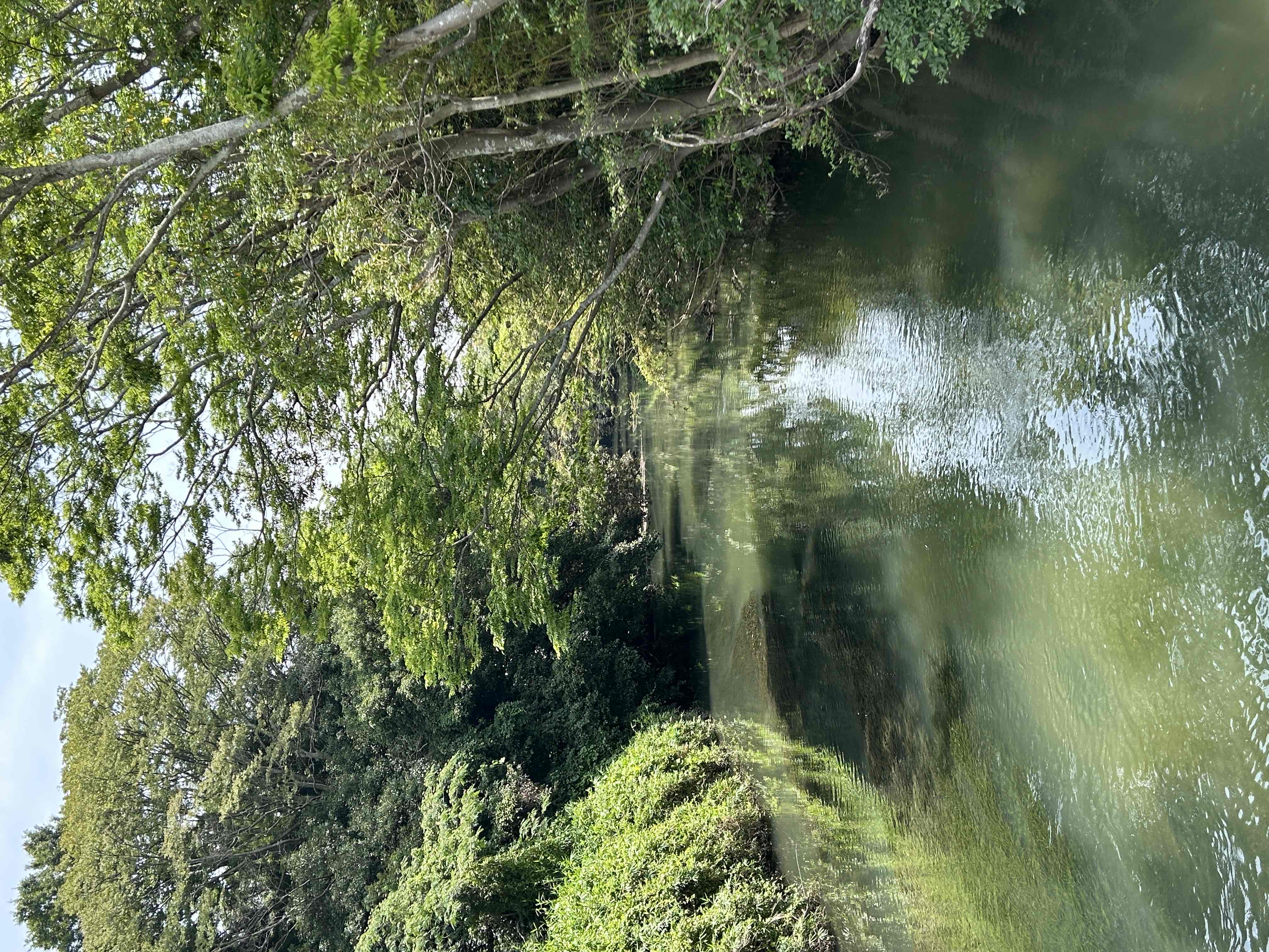 秡川