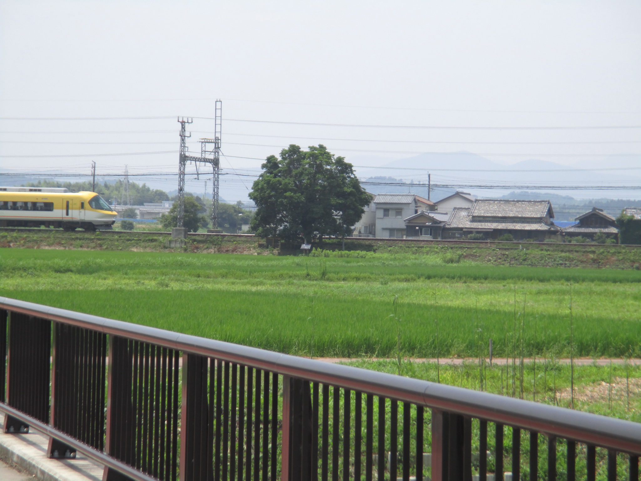 竹川の花園