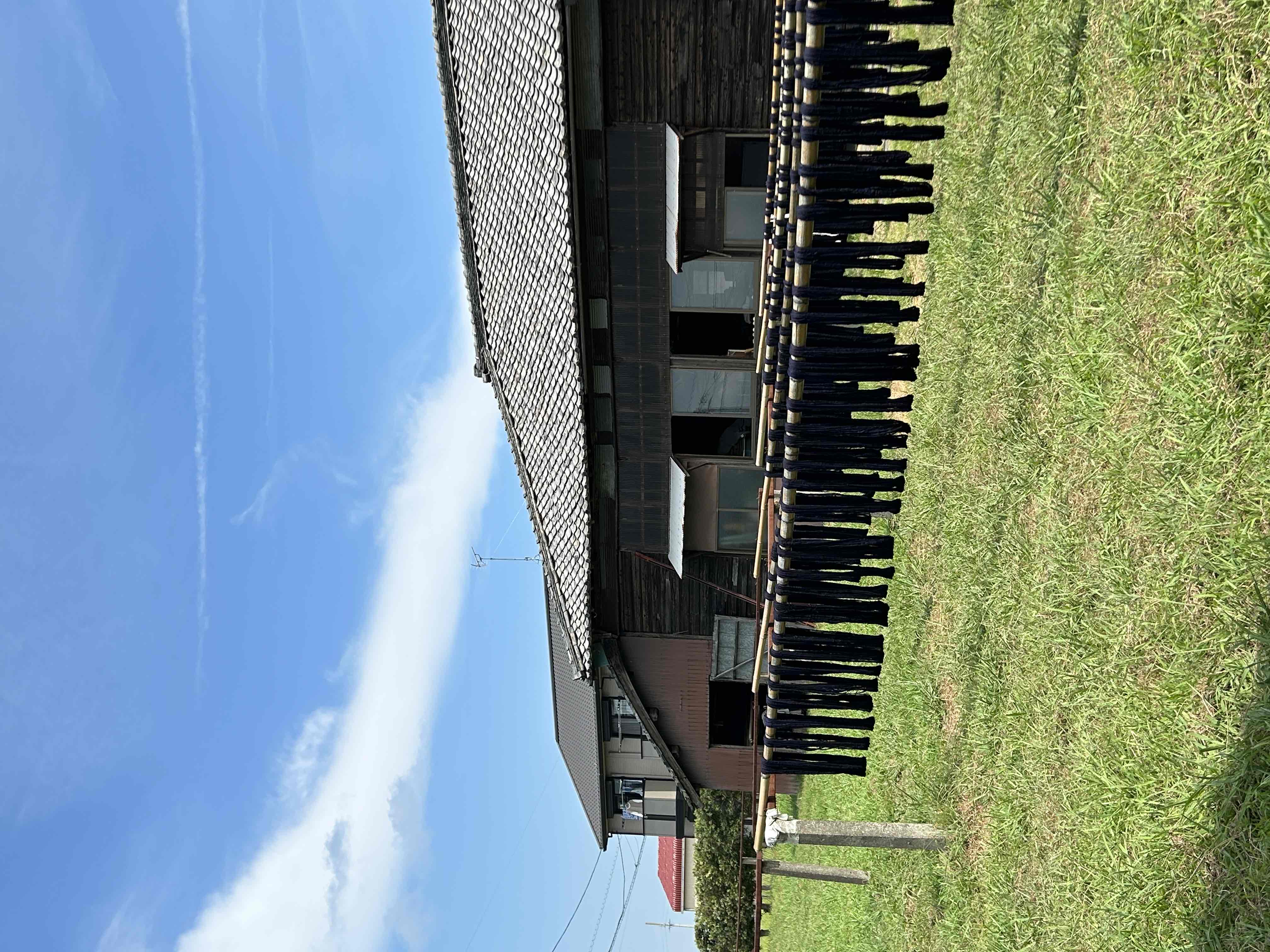 天日干しの風景