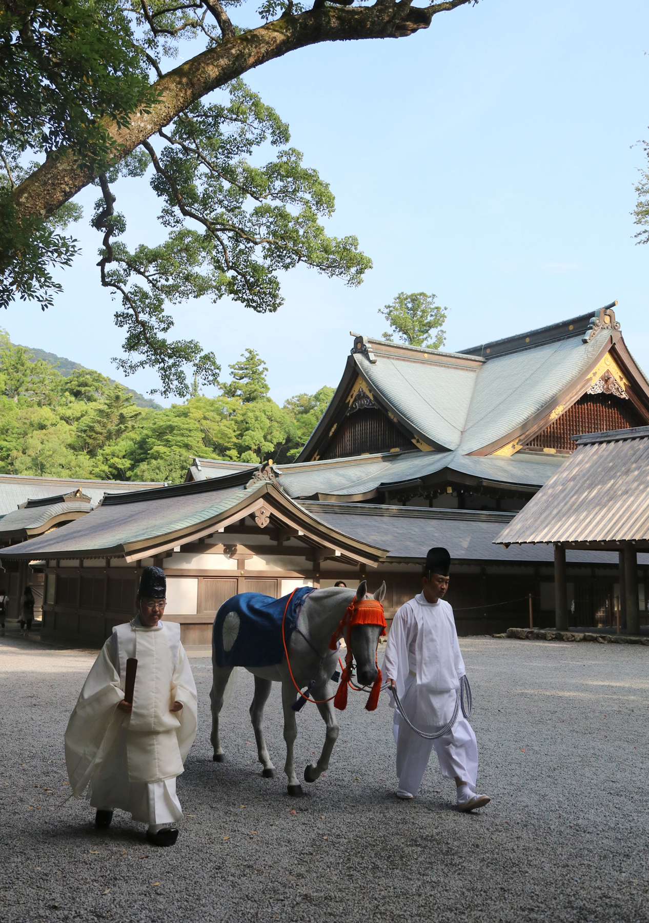 内宮の神馬