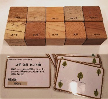 ミュージアムキット_森のカケラ