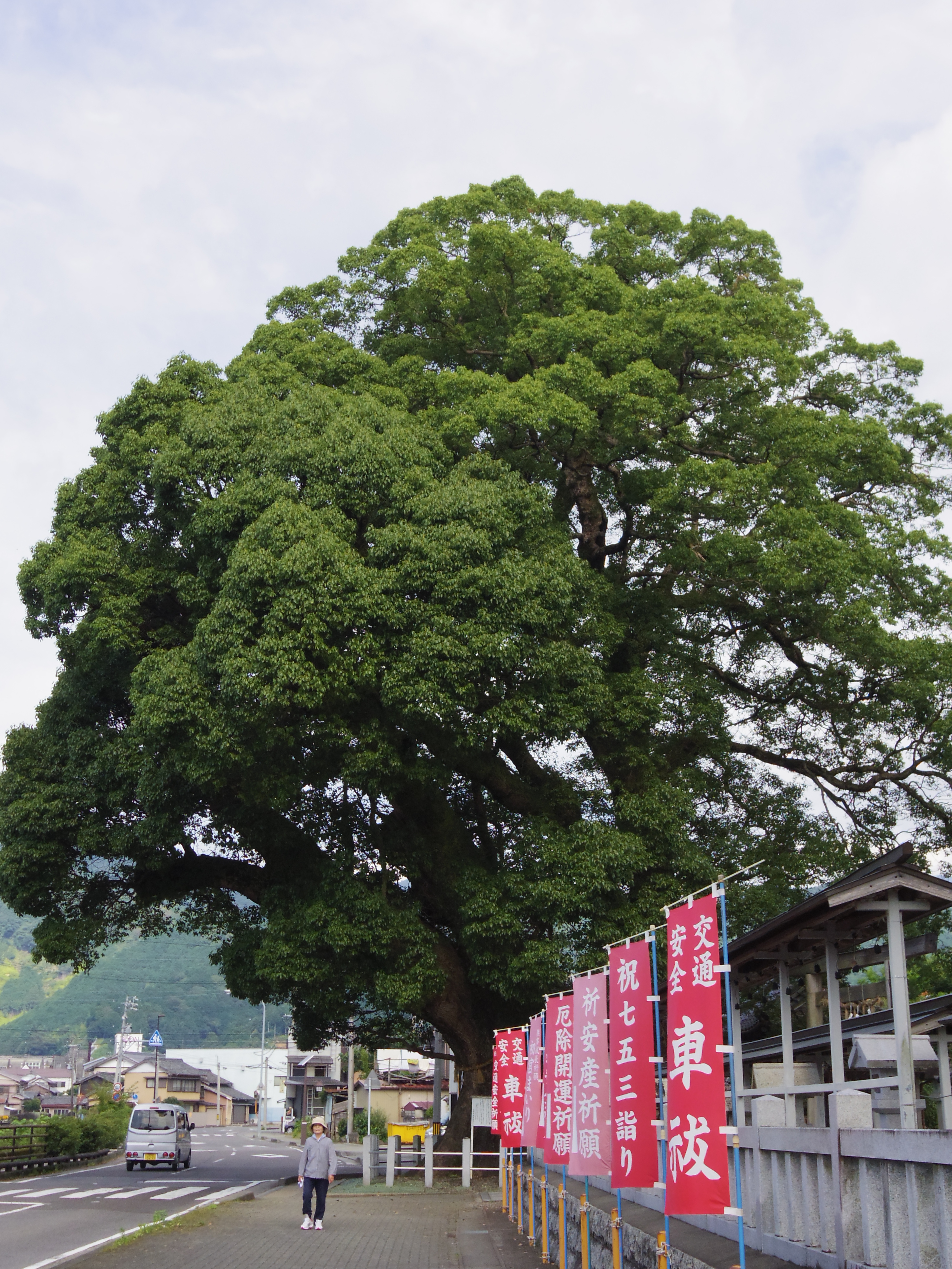 尾鷲神社