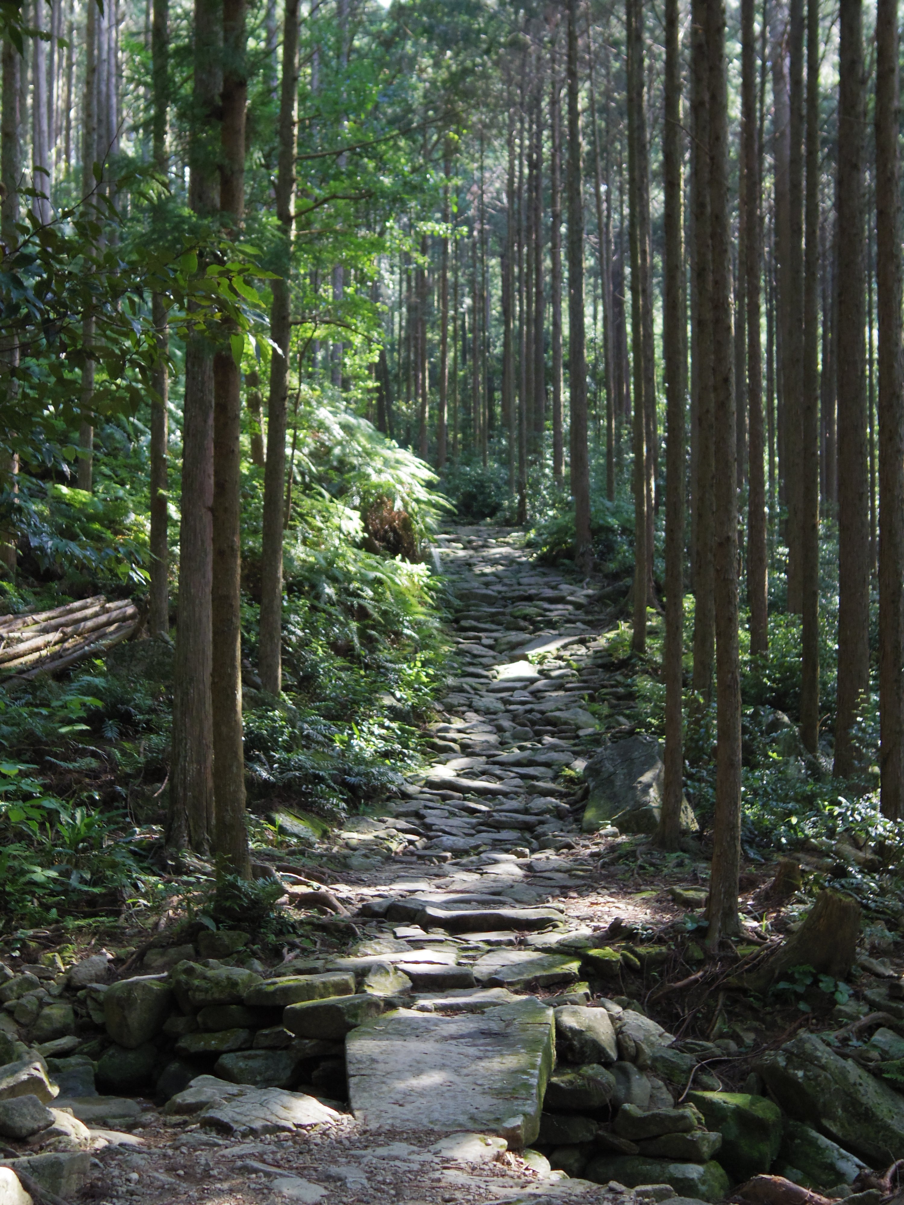熊野古道