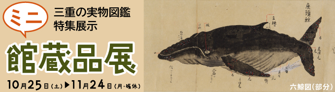 ミニ館蔵品展バナー