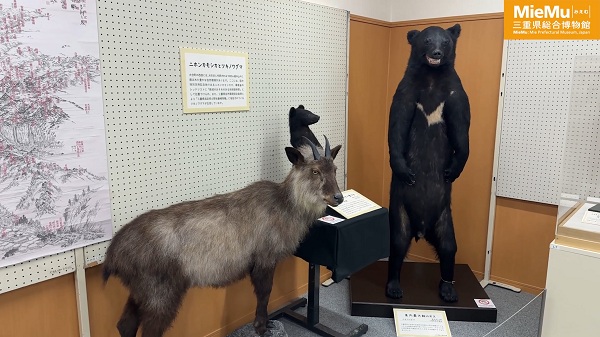 移動展示 たんけん!はっけん!大台町