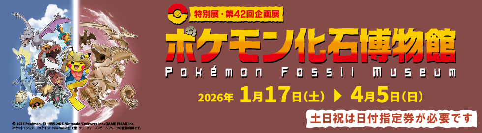 ポケモン化石博物館