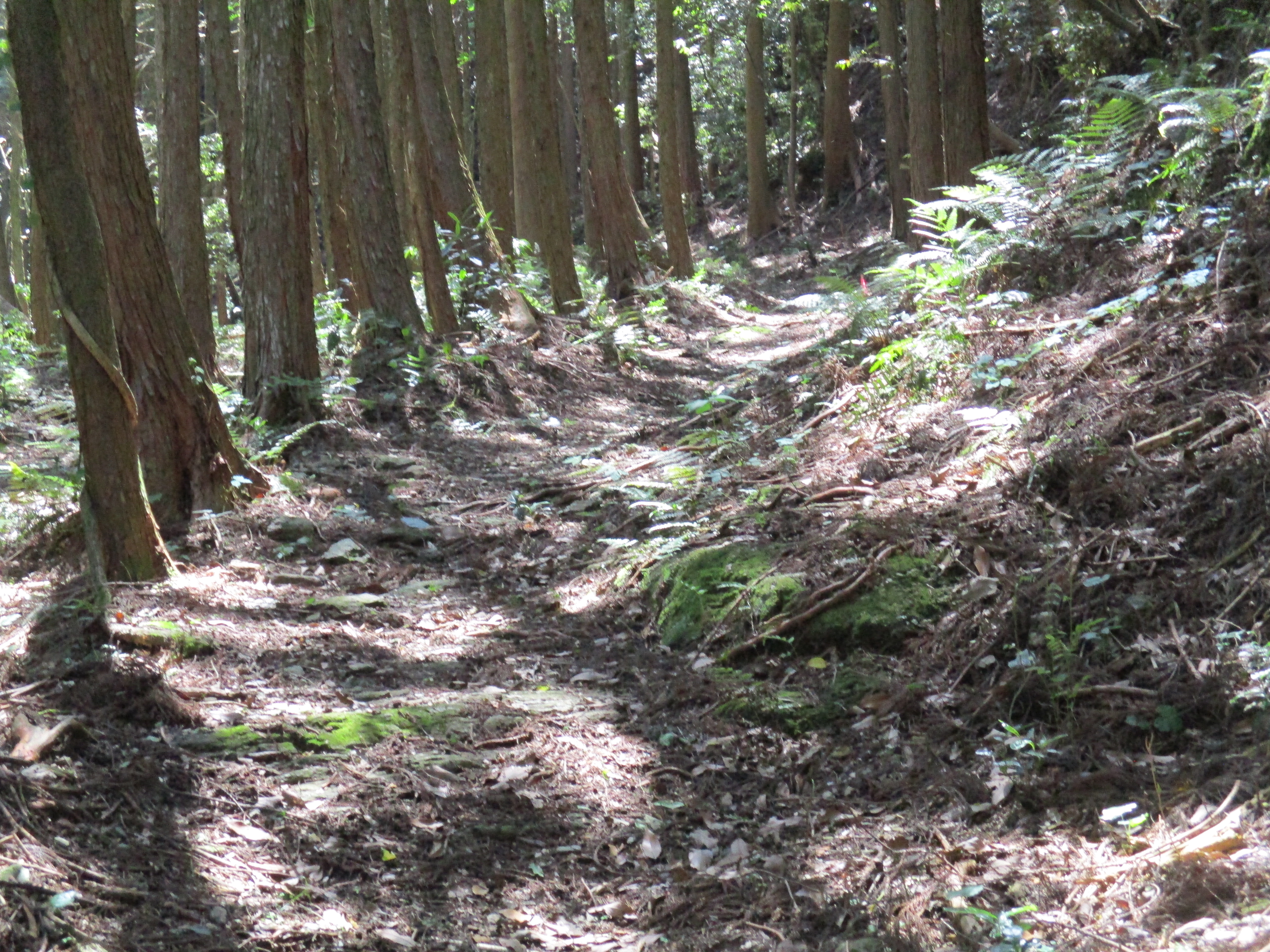 展示室Ⅰ展示物