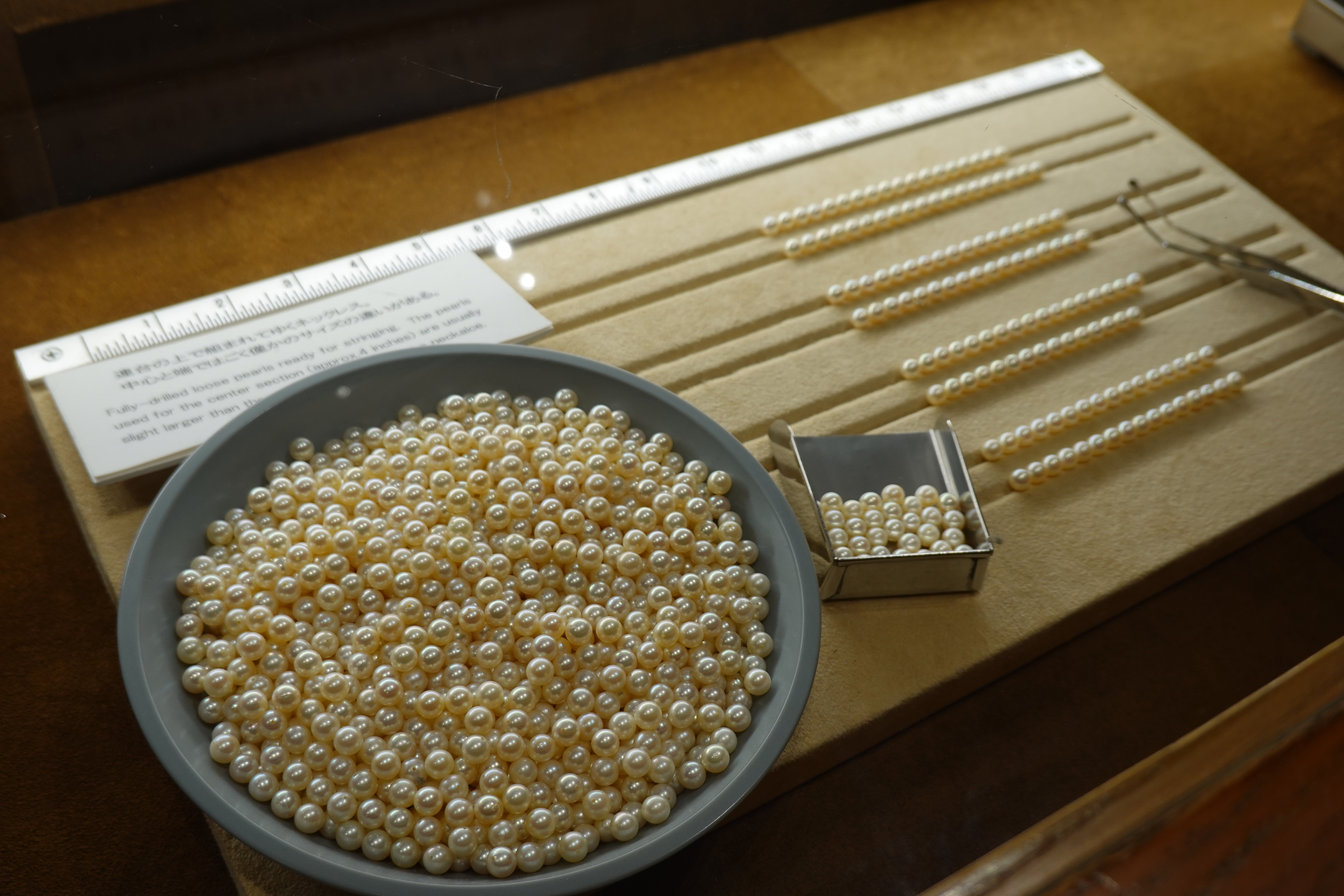 真珠展示写真1