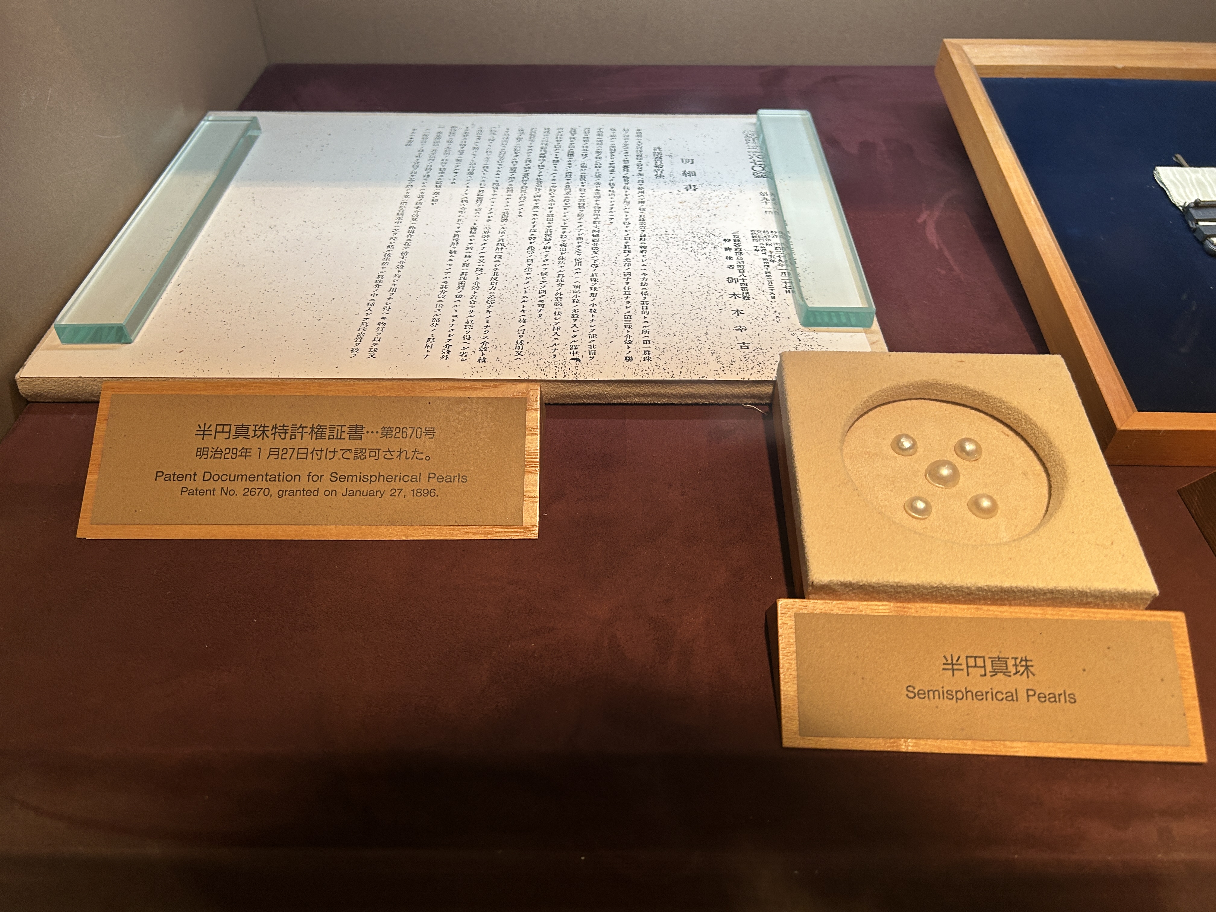 真珠展示3