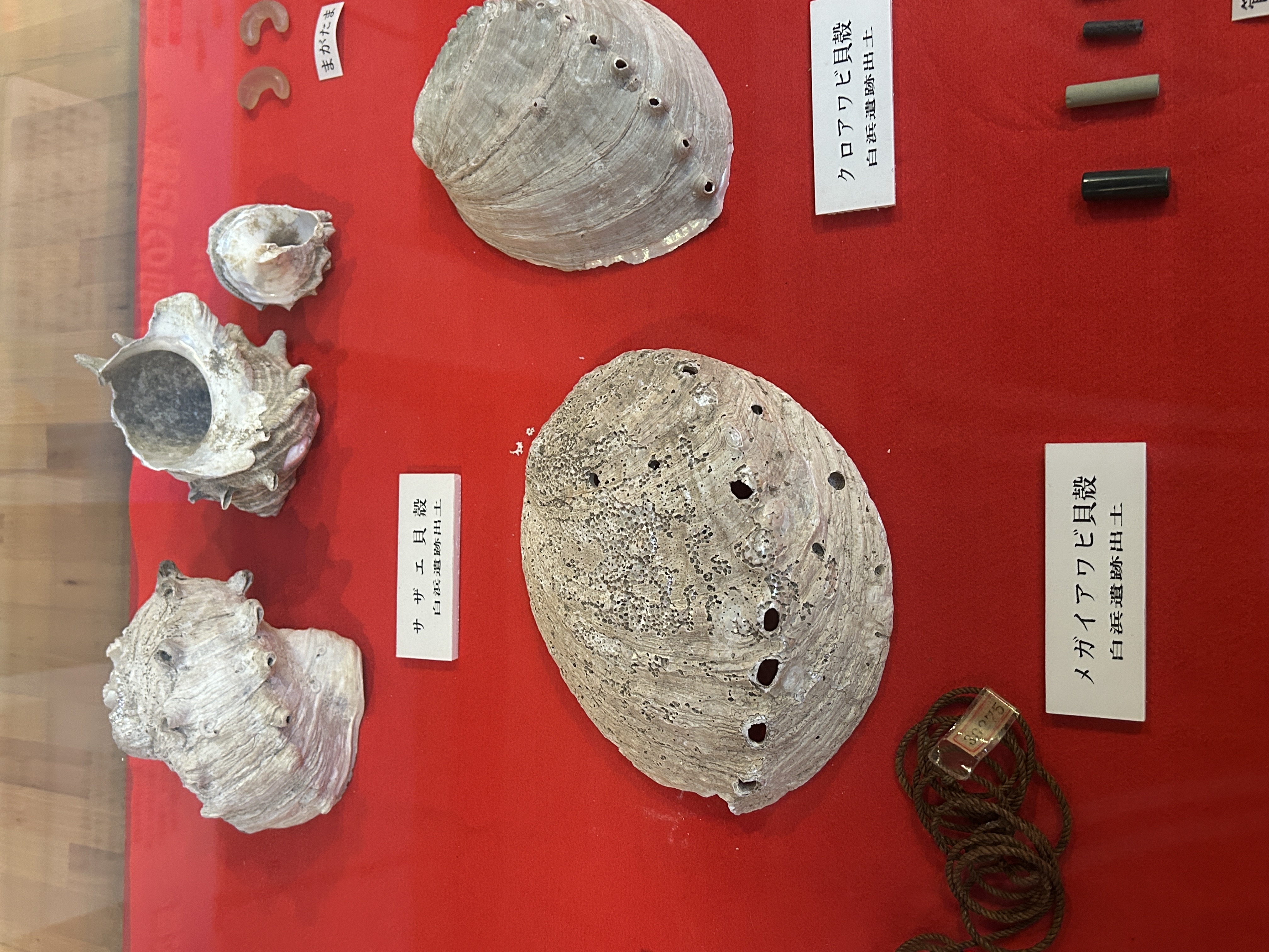 海博　白浜遺跡遺物１