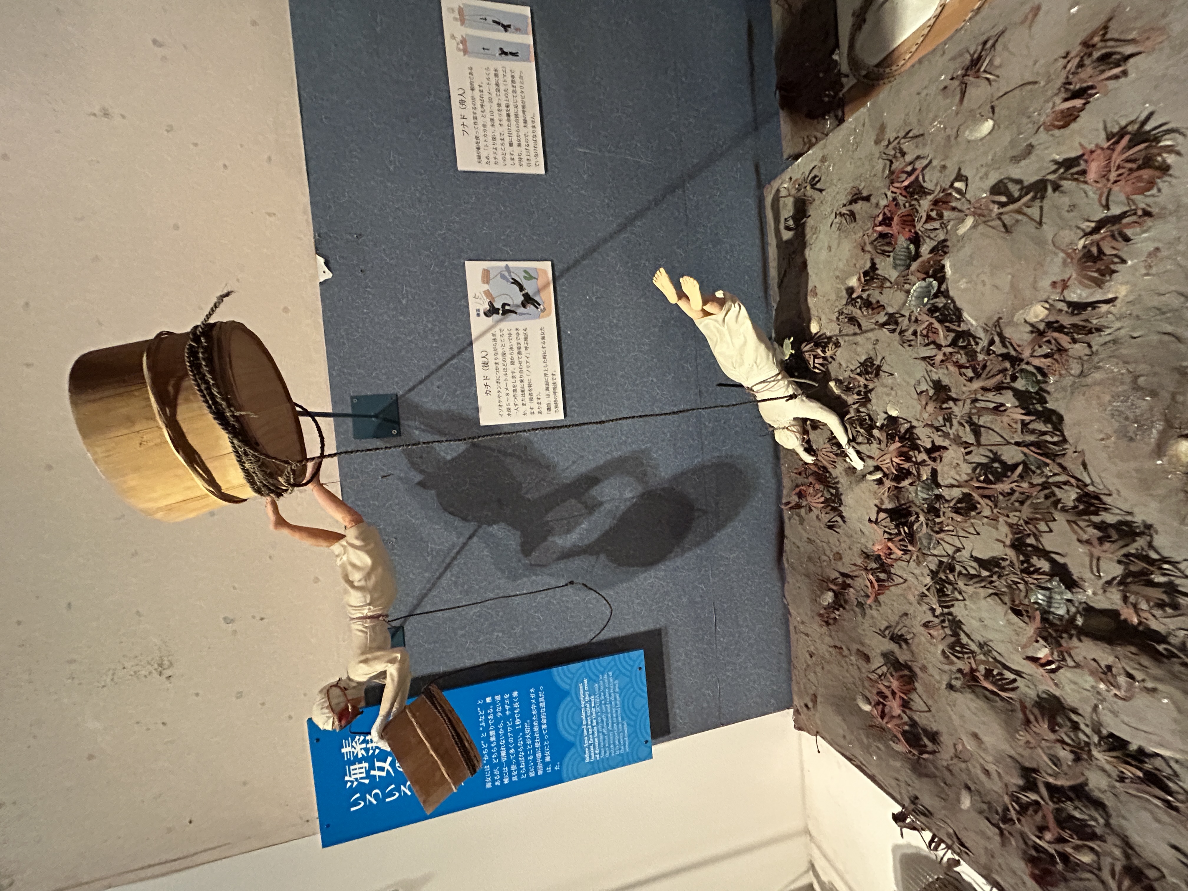 海博　展示４