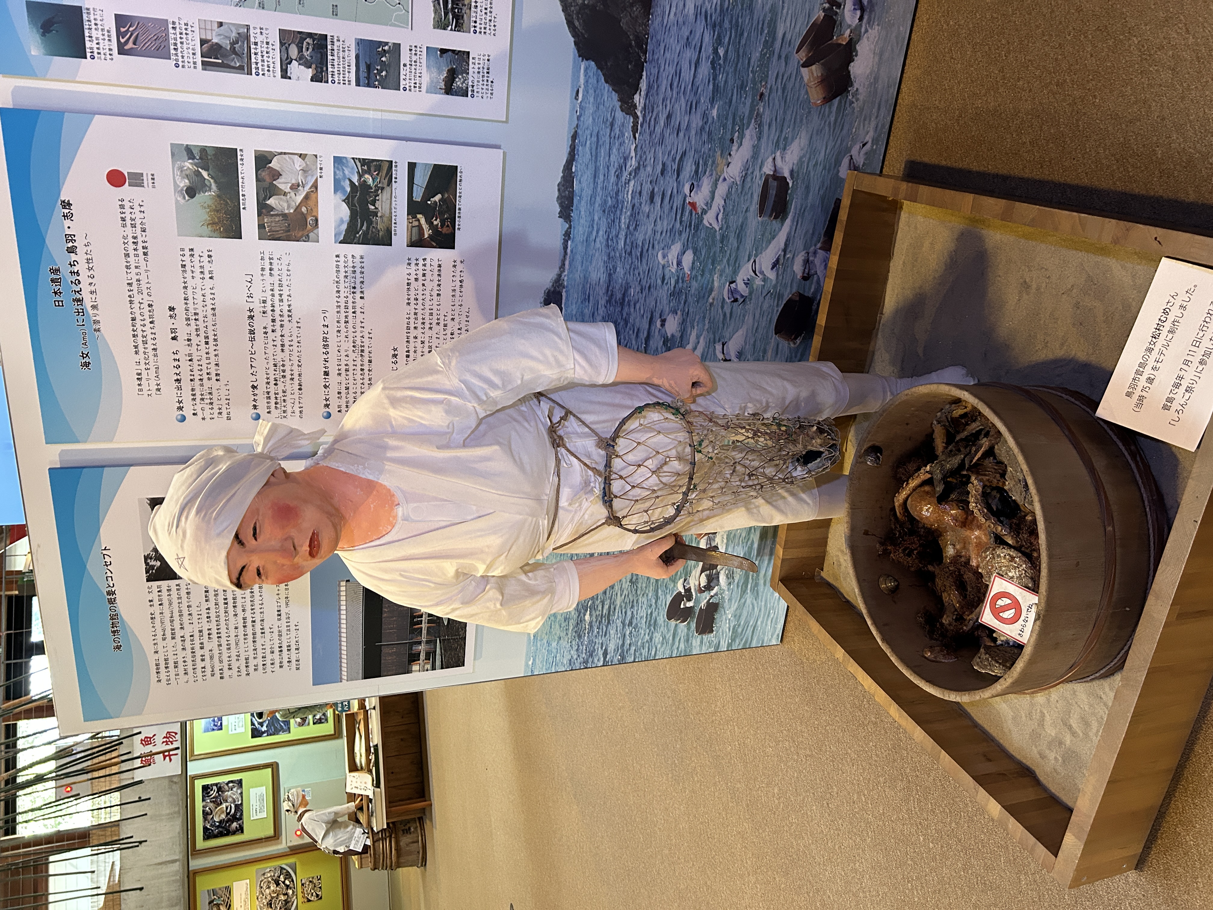 海博　展示5