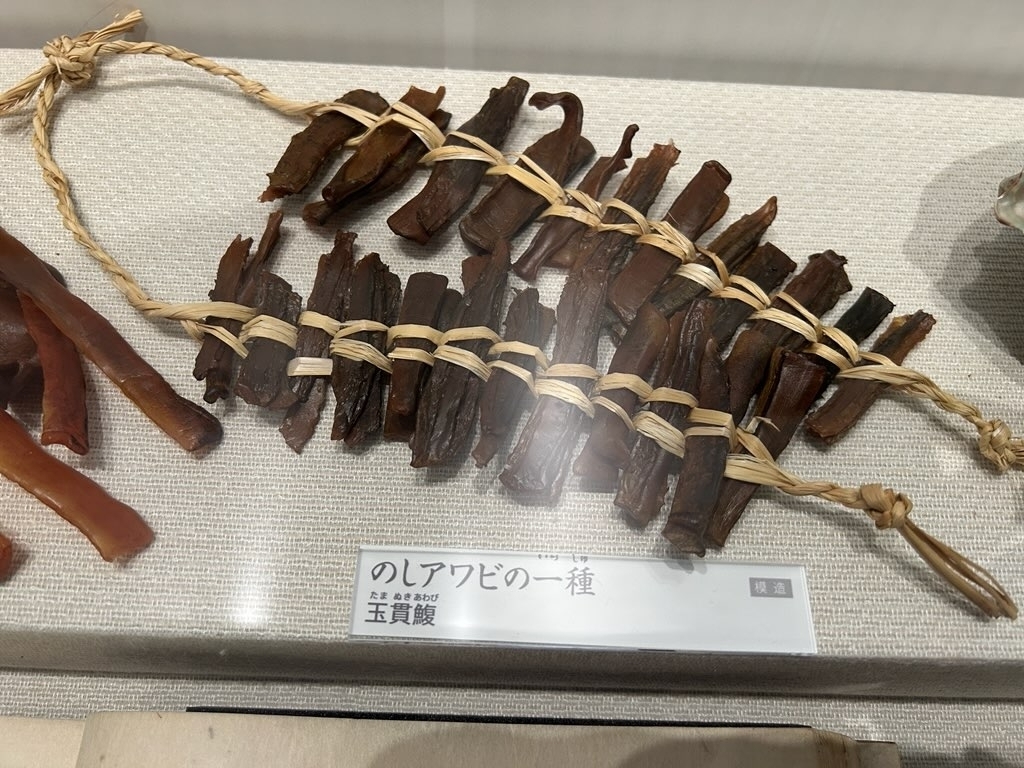 MieMu展示　のしアワビ