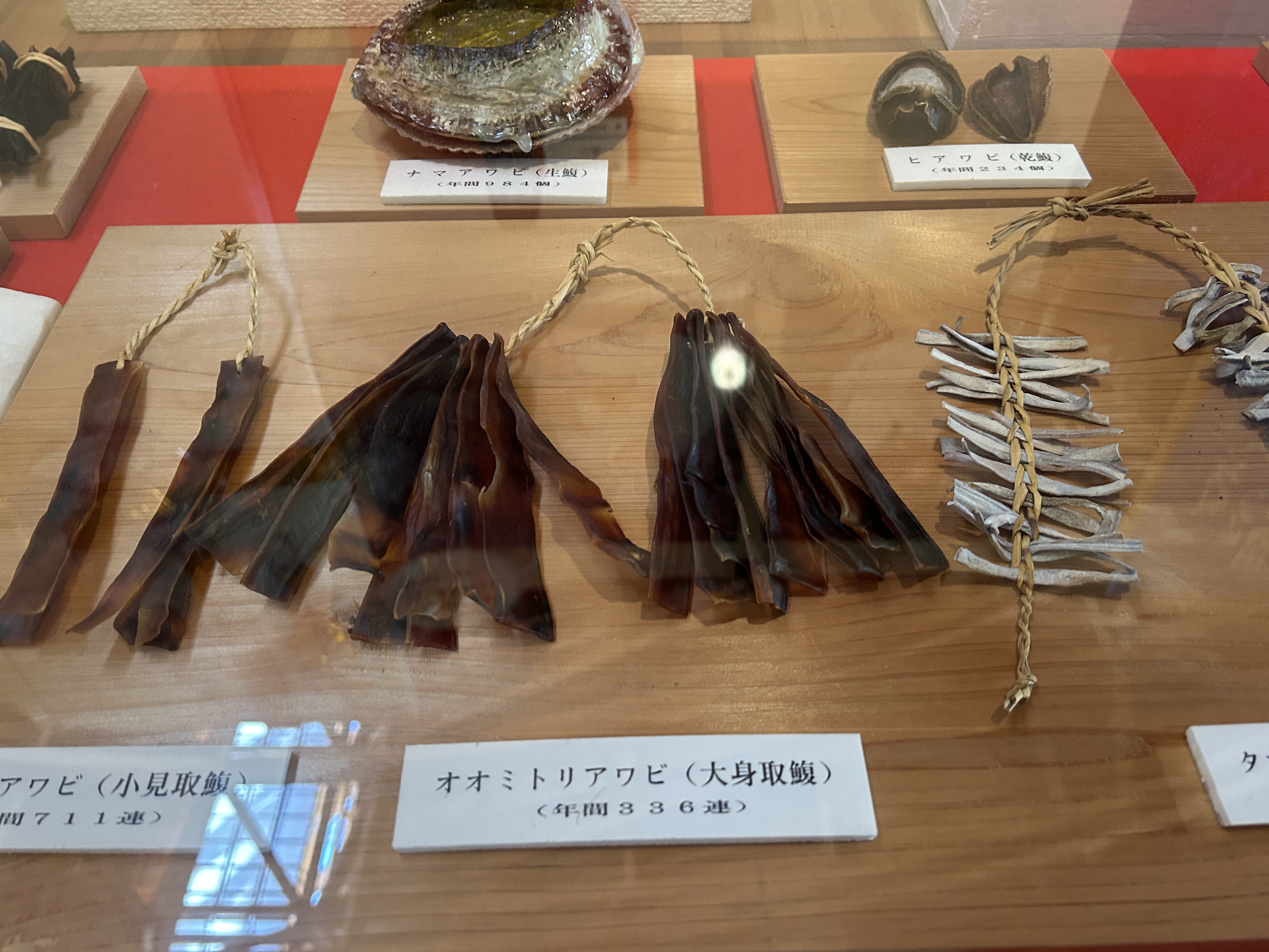 海博　アワビ展示