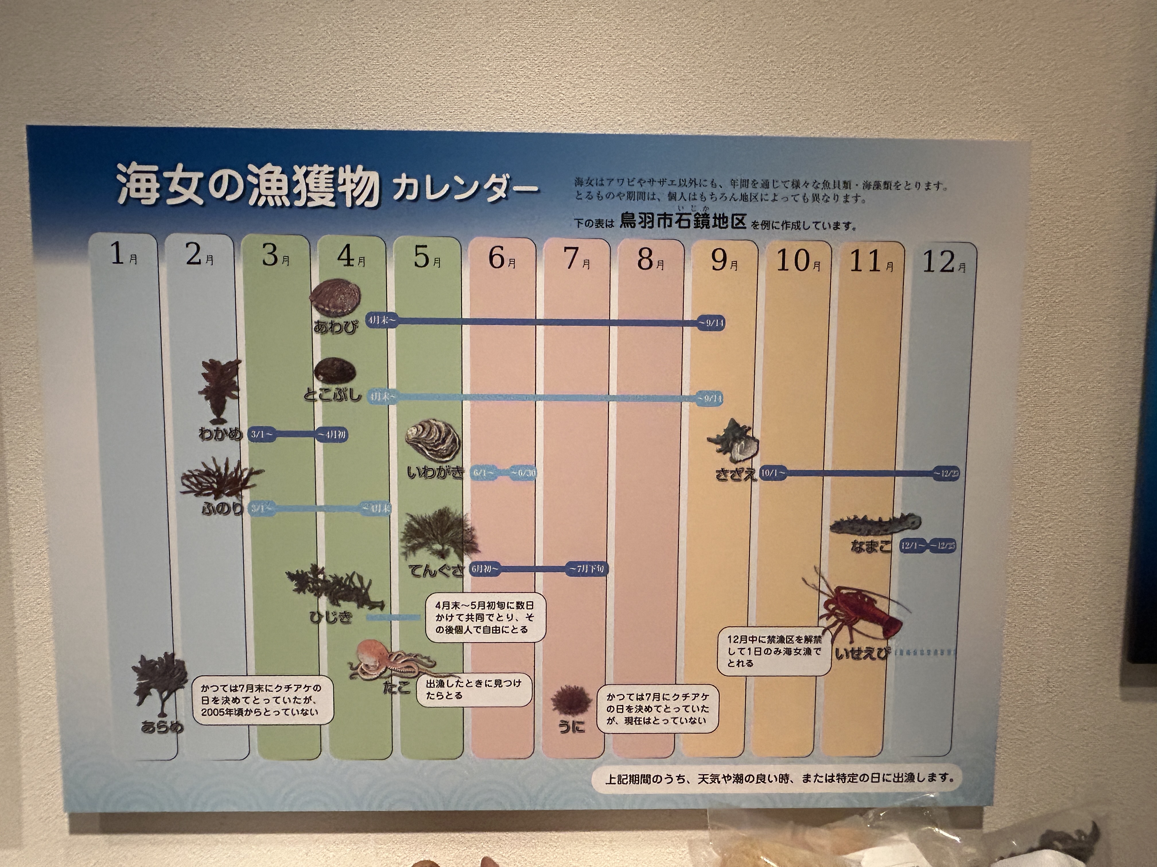 海博　スケジュール