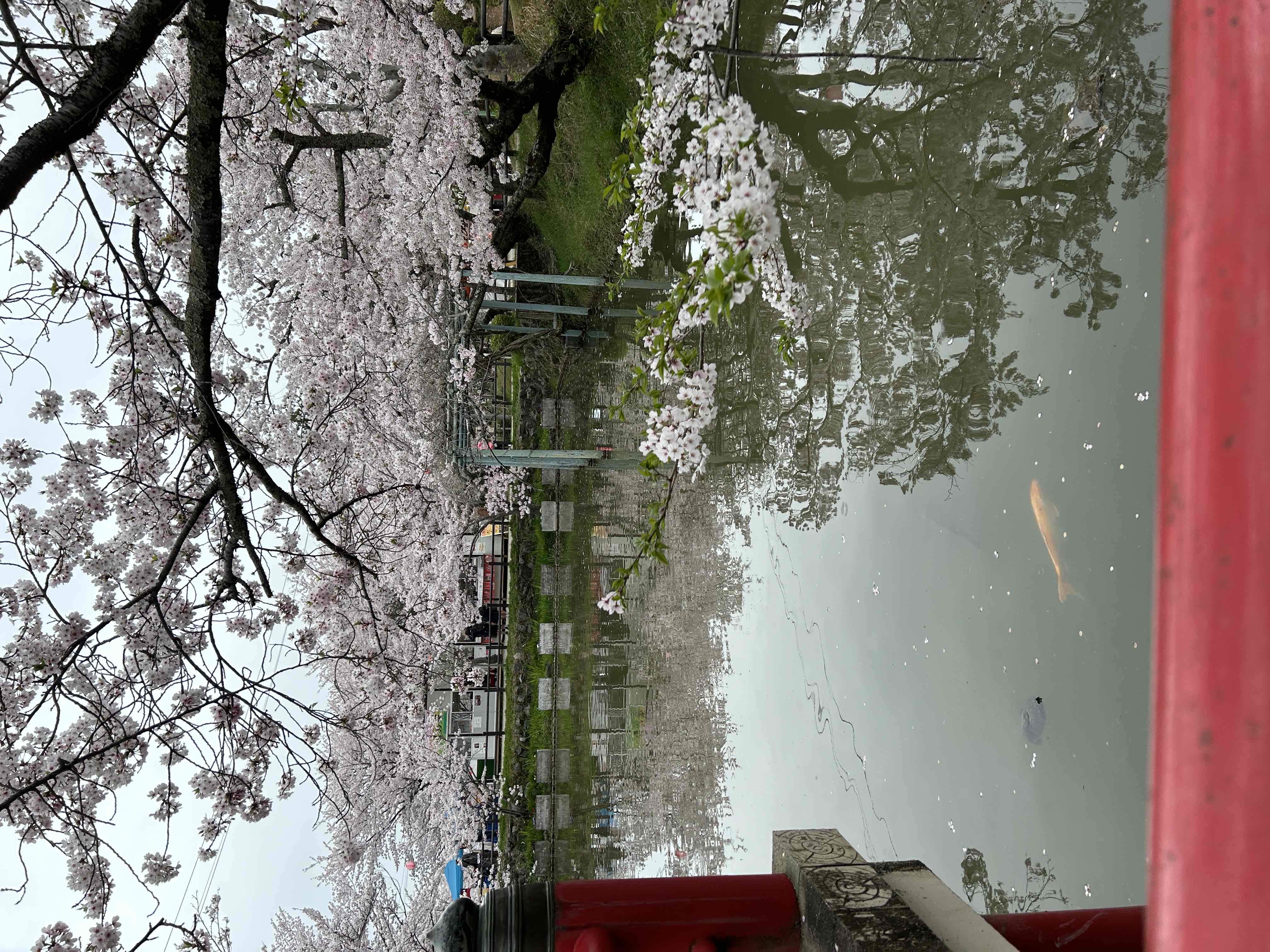 偕楽公園