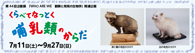 くらべてなっとく哺乳類のからだ