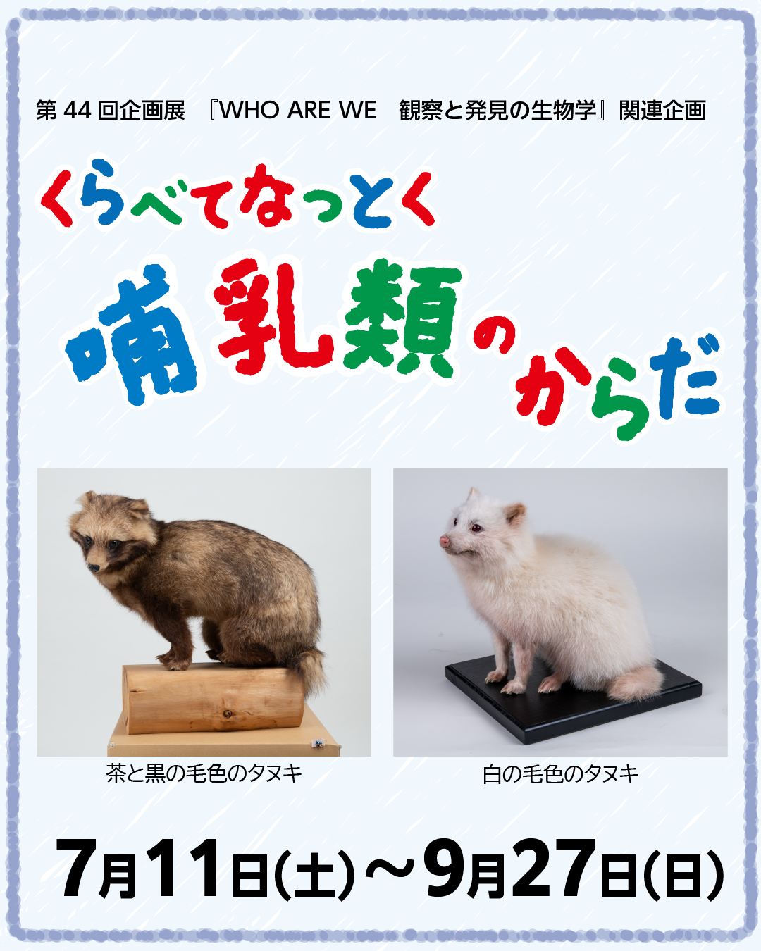 くらべてなっとく哺乳類のからだ