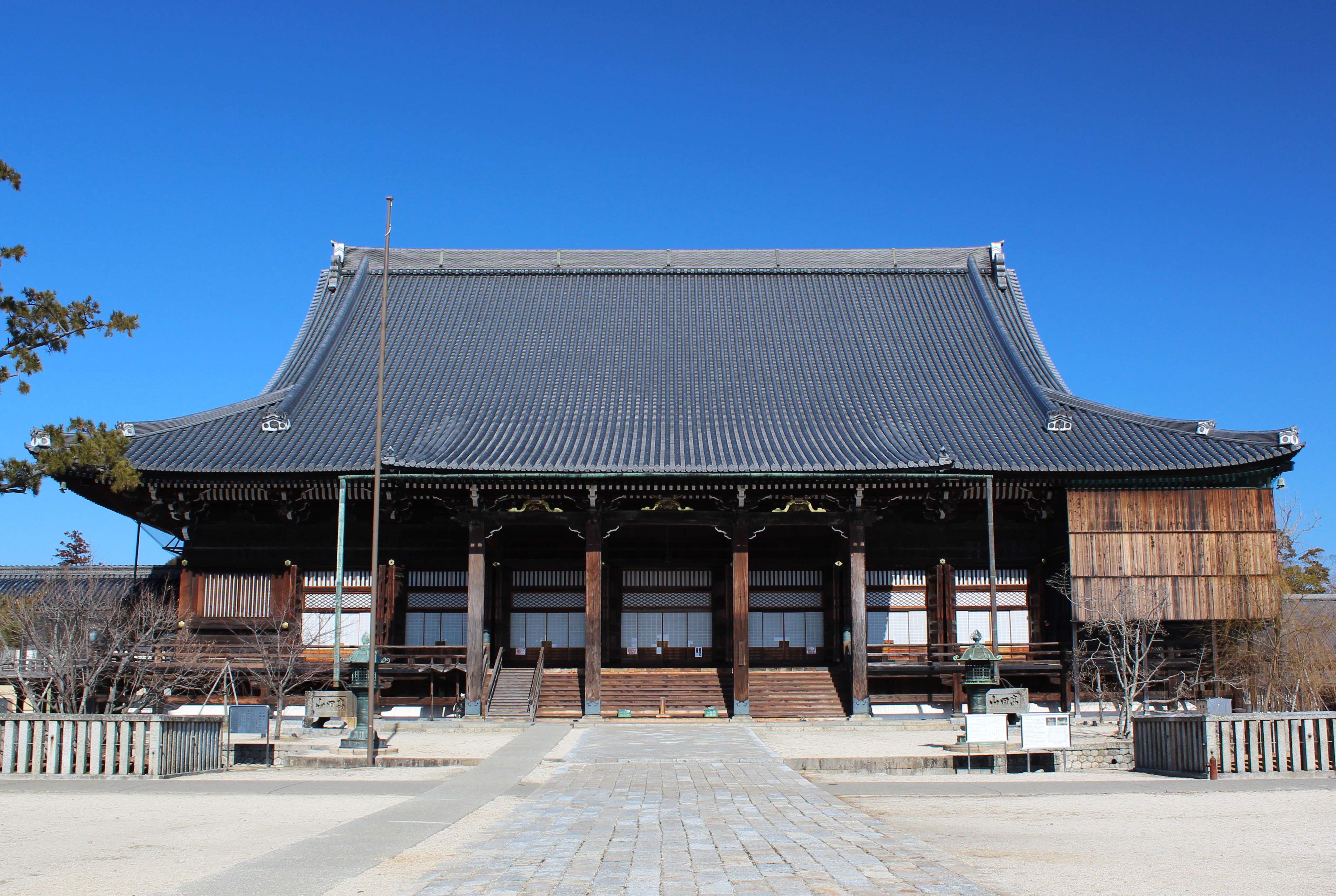 展示物