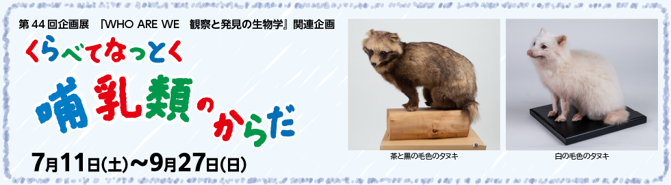 くらべてなっとく哺乳類のからだ
