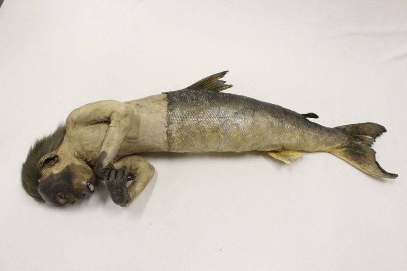 人魚のミイラ