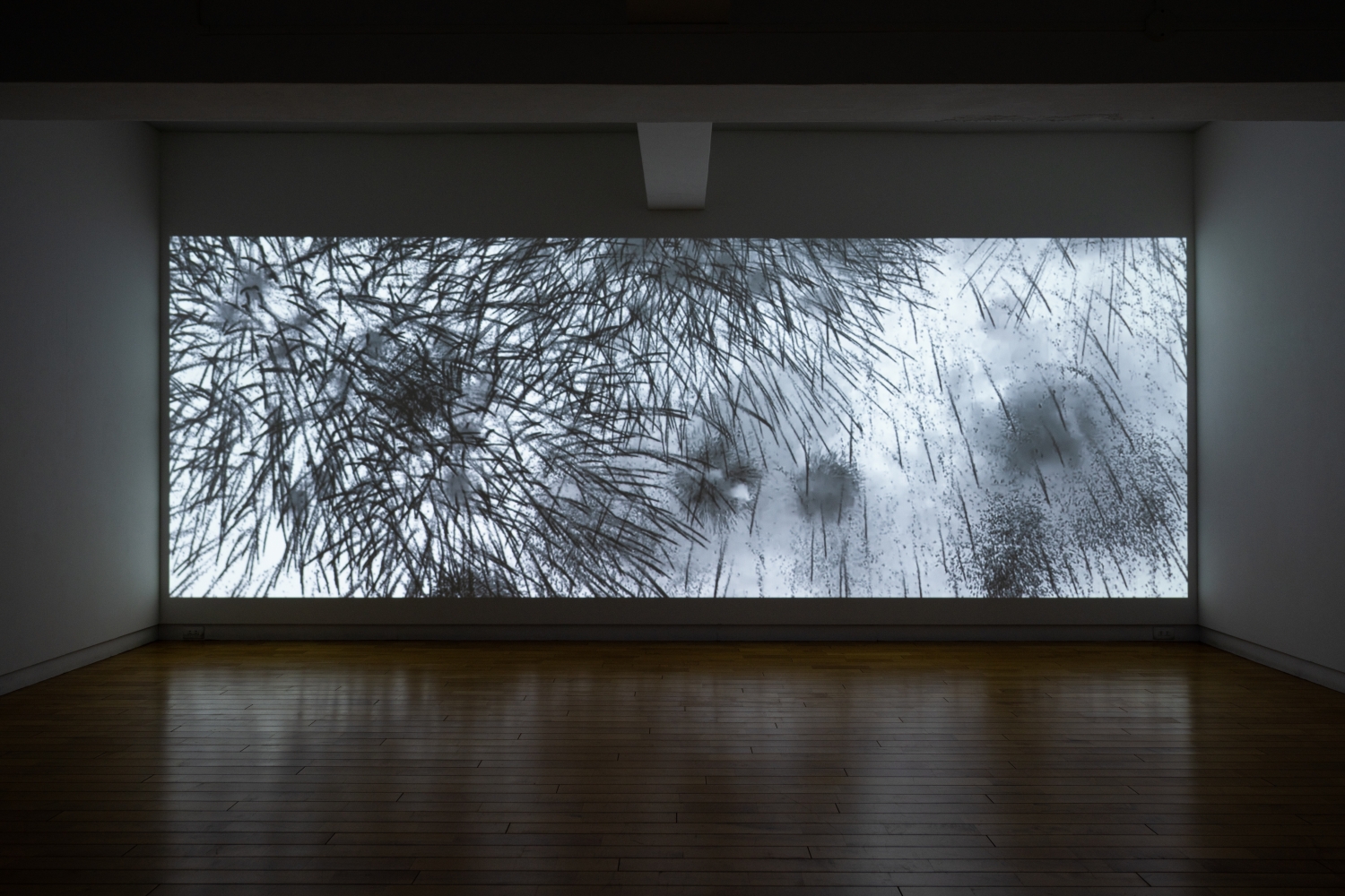 「Light and Shade」展記録(GALLERY CAPTION)2020年