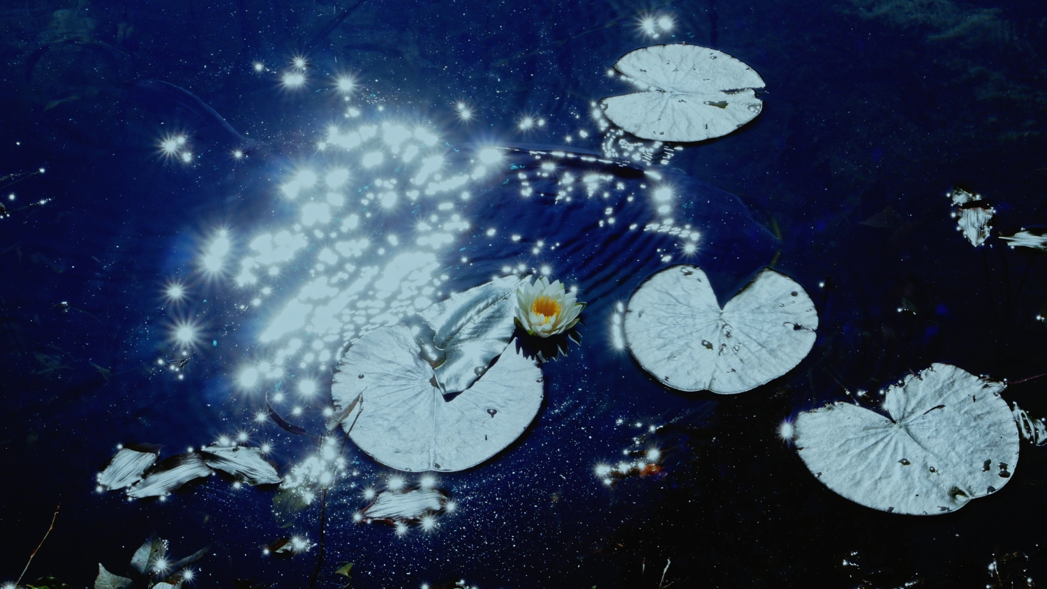 水野勝規《TheArtists' View_Light》 2026年