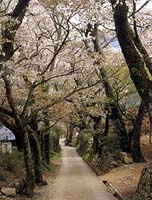 季節の自然を楽しもう