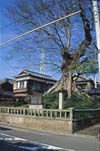 野村一里塚