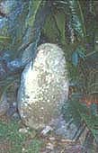 道標