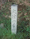 大淀の松株跡