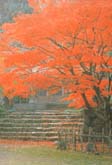 聖宝寺
